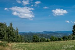 img_0494