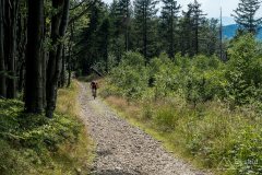 img_0499