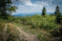 img_0506