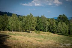 img_0507