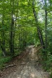 img_0511