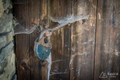 img_0513