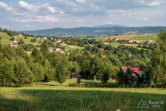 img_0515