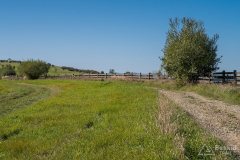 img_0830