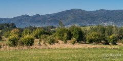 img_0833