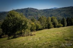 img_0834