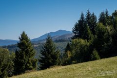 img_0837