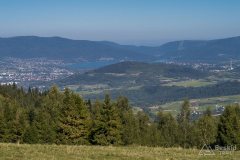 img_0838