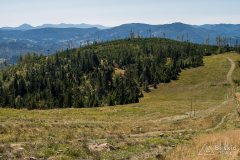 img_0841