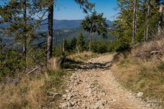 img_0842