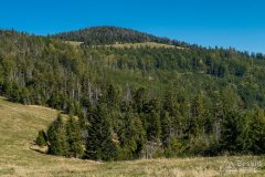 img_0844