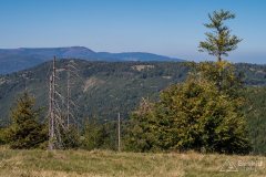 img_0846