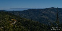 img_0847