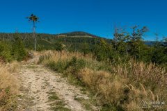 img_0848
