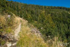 img_0851