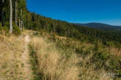 img_0856