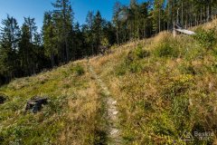 img_0859