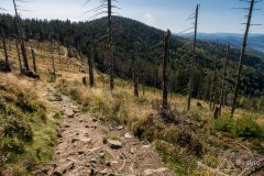 img_0862