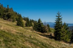 img_0864