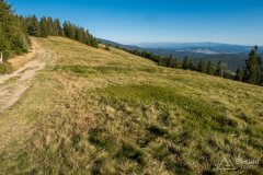 img_0870