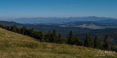 img_0874