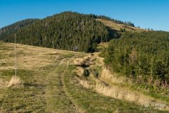 img_0880