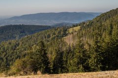 img_0882