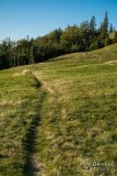 img_0889