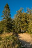 img_0894