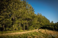 img_0902