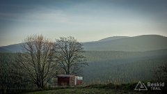 DSC04297