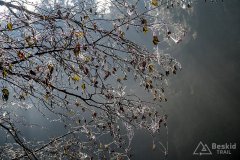IMG_1161