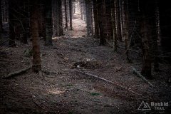IMG_1163
