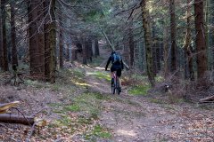 IMG_1167