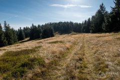 IMG_1169