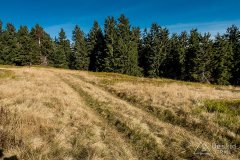 IMG_1170