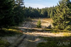 IMG_1171