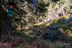 IMG_1175