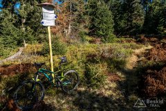 IMG_1176
