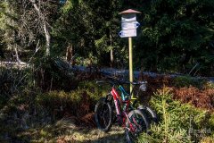 IMG_1177