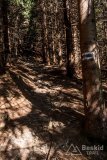 IMG_1178