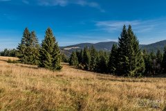 IMG_1182