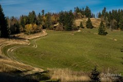 IMG_1184