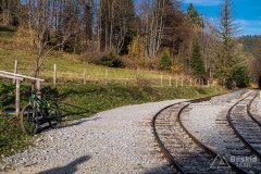 IMG_1187