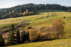 IMG_1190
