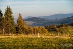 IMG_1192