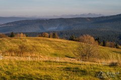 IMG_1194