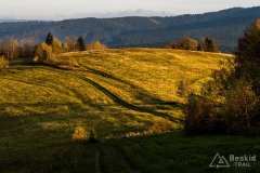 IMG_1196