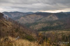 Na żółtym szlaku z Rycerki Górnej na Wielką Raczę