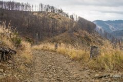 Na żółtym szlaku z Rycerki Górnej na Wielką Raczę